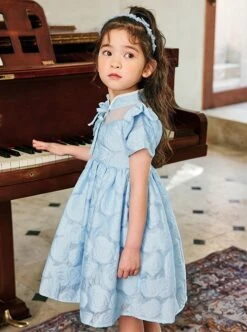 Rose Flower Embossed Texture Pleated Fluffy Hem Cute Flying Sleeves Decoction Children Lolita Kids Blue Dress -NAUS Lolita Shop 3 500x672 1243