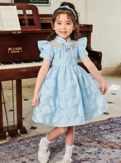 Rose Flower Embossed Texture Pleated Fluffy Hem Cute Flying Sleeves Decoction Children Lolita Kids Blue Dress -NAUS Lolita Shop 4 500x672 1192