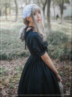 Daily Chiffon Short Sleeves Concise Classic Lolita Dress -NAUS Lolita Shop 4 500x672 44
