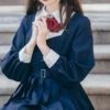 Top Student Series Pleated Dress School Lolita Long Sleeve Dress