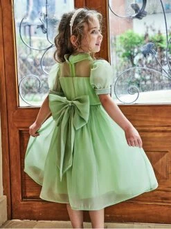 Solid Color Grass Green Streamer Yarn Cute Pleated Sweet Puff Sleeves Pearl Neckline Decoration Sweet Lolita Kids Dress -NAUS Lolita Shop 5 500x672 1149