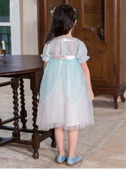 Chinese Style Cute Delicate Flower Embroidery Decoration Light Green Mesh Children Lolita Kids Short Sleeve Dress -NAUS Lolita Shop 5 500x672 1181