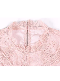 Stand Collar High Waist Lace Long Sleeve A-line Dress -NAUS Lolita Shop 5 500x672 363