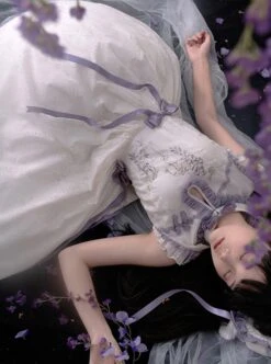 Chinese Style Stand Collar Purple Wisteria Embroidered Printing Bowknot Decoration Classic Lolita Sleeveless Dress -NAUS Lolita Shop 7 500x672 120