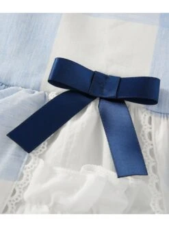 Blue And White Plaid Design Cute Pleated Ruffle Trim Bow Knots Classic Lolita Long Sleeve Kid Dress -NAUS Lolita Shop 7 500x672 710