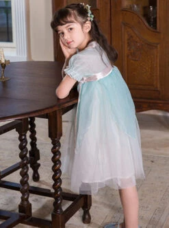 Chinese Style Cute Delicate Flower Embroidery Decoration Light Green Mesh Children Lolita Kids Short Sleeve Dress -NAUS Lolita Shop 7 500x672 786