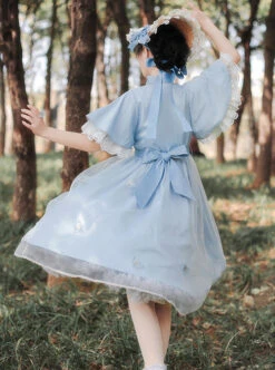 Iris Flower Series OP Butterfly Sleeve Embroidery Blue Classic Lolita Short Sleeve Dress -NAUS Lolita Shop 9 500x672 172